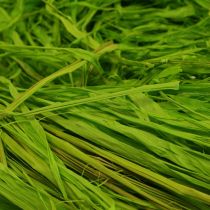 Artículo Rafia decorativa para elaborar rafia natural rafia verde manzana 200g