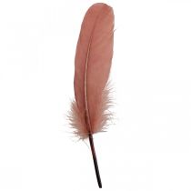Artículo Plumas decorativas para manualidades plumas de pájaro reales rosa viejo 20g