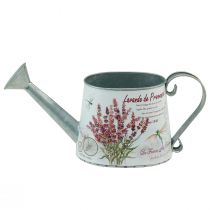 Regadera decorativa jarra de metal para lavanda 30×11cm H14,5cm