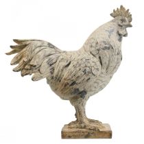 Gallo decorativo para jardín figura decorativa aspecto piedra H26cm