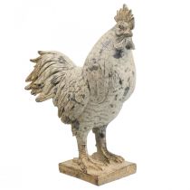 Gallo decorativo para jardín figura decorativa aspecto piedra H26cm