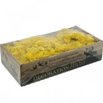 Artículo Deco musgo musgo de reno amarillo para manualidades amarillo limón 500g