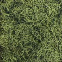 Artículo Musgo decorativo bosque seco musgo verde decoración natural 300g