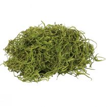 Musgo decorativo bosque seco musgo verde decoración natural 300g