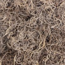 Artículo Musgo decorativo musgo de bosque seco decoración natural marrón 300g
