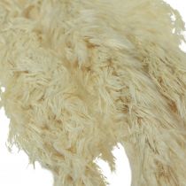 Artículo Hierba de la pampa decorativa crema hierba seca blanqueada 95cm 3uds