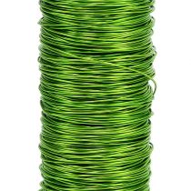 Artículo Hilo esmaltado deco Ø0.30mm 30g 50m verde manzana