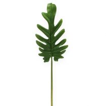 Artículo Láminas decorativas Philodendron Green B11cm L34cm 6pcs
