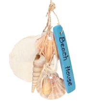 Artículo Decoración marinera Beach House Conchas y caracoles 25cm