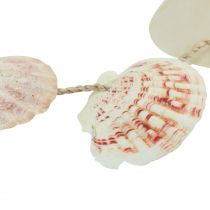 Artículo Percha decorativa decoración concha marítima natural Ø5–10cm 70cm