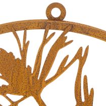 Artículo Anillo decorativo de metal, decoración de pared de acero envejecido, rama de pino, Ø38cm