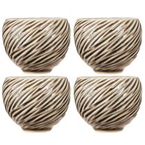 Artículo Cuenco decorativo de cerámica con espiral, color beige y marrón, Ø9 cm, 4 unidades