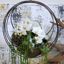 Cuenco decorativo para colgar cesta de flores metal Ø31cm H55.5cm