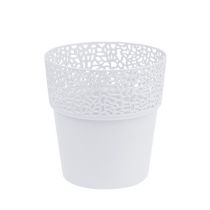 Artículo Maceta decorativa de plástico blanco Ø13cm H13.5cm 1p