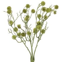 Artículo Rama decorativa de liquidámbar frutos verde claro 48cm