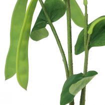 Artículo Rama decorativa rama de frijol planta artificial verde 95cm
