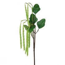 Artículo Rama decorativa rama de frijol planta artificial verde 68cm