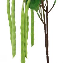 Artículo Rama decorativa rama de frijol planta artificial verde 68cm