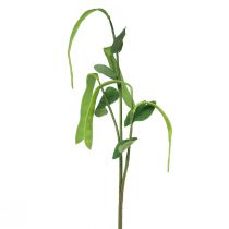 Artículo Rama decorativa rama de frijol planta artificial verde 95cm