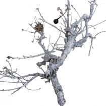 Artículo Deco ramas bonsai madera deco ramas blanco lavado 800g