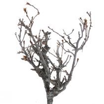 Artículo Deco ramas bonsai madera deco ramas 15-30cm 650g