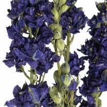 Delphinium seco, floristería seca, azul delphinium L64cm 25g