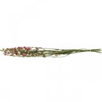 Artículo Delphinium rosa larkspur seco (artificial), florero decorativo 64cm 25g