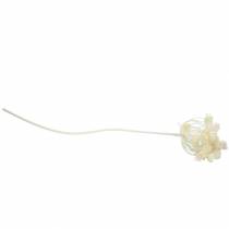 Artículo Eneldo blanco nevado 117cm