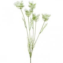 Eneldo en flor, planta artificial, hierbas artificiales verde, blanco L80cm