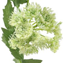 Artículo Eneldo artificial blanco 49cm 6uds