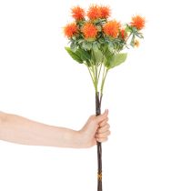 Artículo Cártamo artificial naranja como flor artificial para jarrones y decoración, 55 cm, 4 piezas