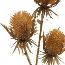 Artículo Thistle Branch Brown Artificial Plant Fall Decoration 38cm ¡Planta artificial como la cosa real!