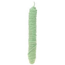 Artículo Cordón de fieltro hilo mecha verde claro 55m