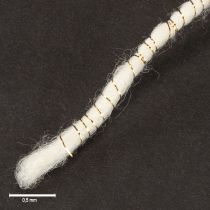 Artículo Cordón de lana blanco con hilo dorado 5m x 5mm con alambre para decoración y manualidades