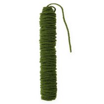 Hilo de mecha cordón de fieltro cordón de lana verde musgo Ø5mm 50m