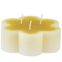 Artículo Vela de tres mechas vela decorativa flor amarillo blanco Ø11,5cm H4cm