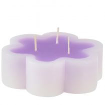 Vela de tres mechas como vela floral violeta blanco Ø11,5cm H4cm