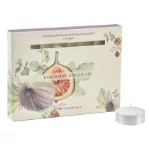 Artículo Velas perfumadas bergamota velas de té de higos silvestres Ø3,5cm 12 piezas