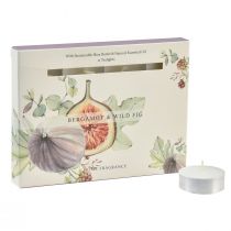 Artículo Velas perfumadas Bergamota Wild Fig velas de té Ø3,5cm 12ud