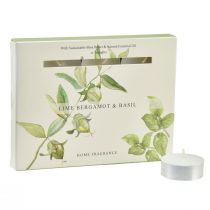 Artículo Velas aromáticas lima bergamota albahaca Ø3,5cm 12uds