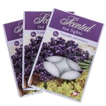 Artículo Velas aromáticas lavanda mimosa, velas de té perfumadas Ø3,5cm H1,5cm 18 piezas