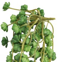 Artículo Plantas colgantes artificiales Echeveria en verde L 12 cm L 50 cm