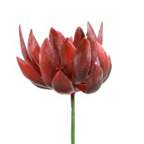 Plantas Verdes Artificiales Echeveria Suculentas Rojo Ø12cm 19,5cm