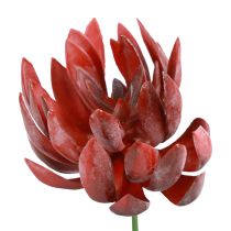 Plantas Verdes Artificiales Echeveria Suculentas Rojo Ø12cm 19,5cm