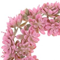 Echeverienkranz Rosa Ø18cm 4 piezas