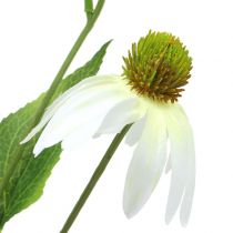 Artículo Flor de equinácea blanca artificial 90cm