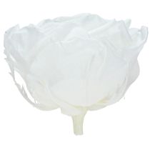 Artículo Rosas reales Infinity Roses Blancas Premium Ø8,5cm 4 uds
