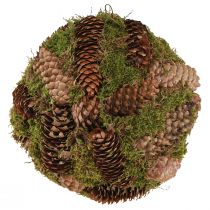 Artículo Bola decorativa de conos reales con decoración natural de musgo Ø25cm H25cm