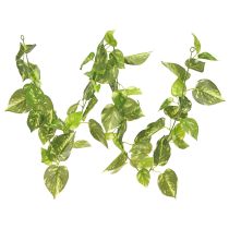 Artículo Guirnalda de hiedra planta de hiedra artificial en verde L170cm 2 piezas