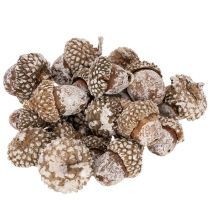 Artículo Bellotas, producto natural para decoración, blanqueadas, 1-3 cm, 300 g